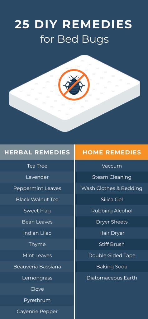 10 Home Remedies to Get Rid of Bed Bugs