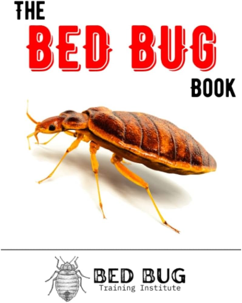 How to Deal with Bed Bugs: A Comprehensive Guide