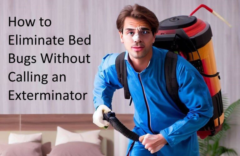 How to Eliminate Bed Bugs Without Hiring an Exterminator