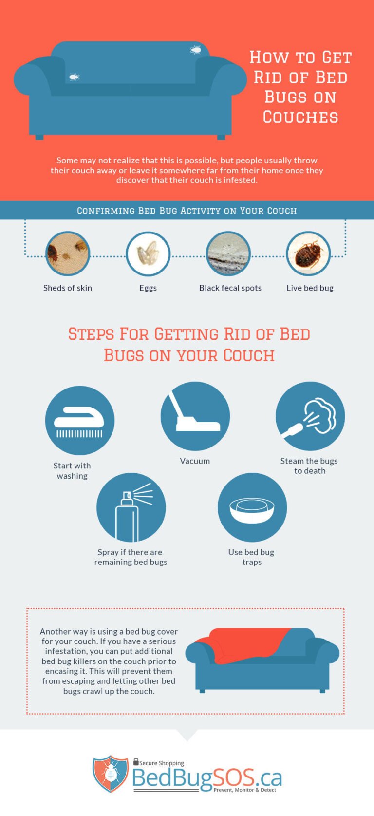 Steps to Take When You Discover Bed Bugs