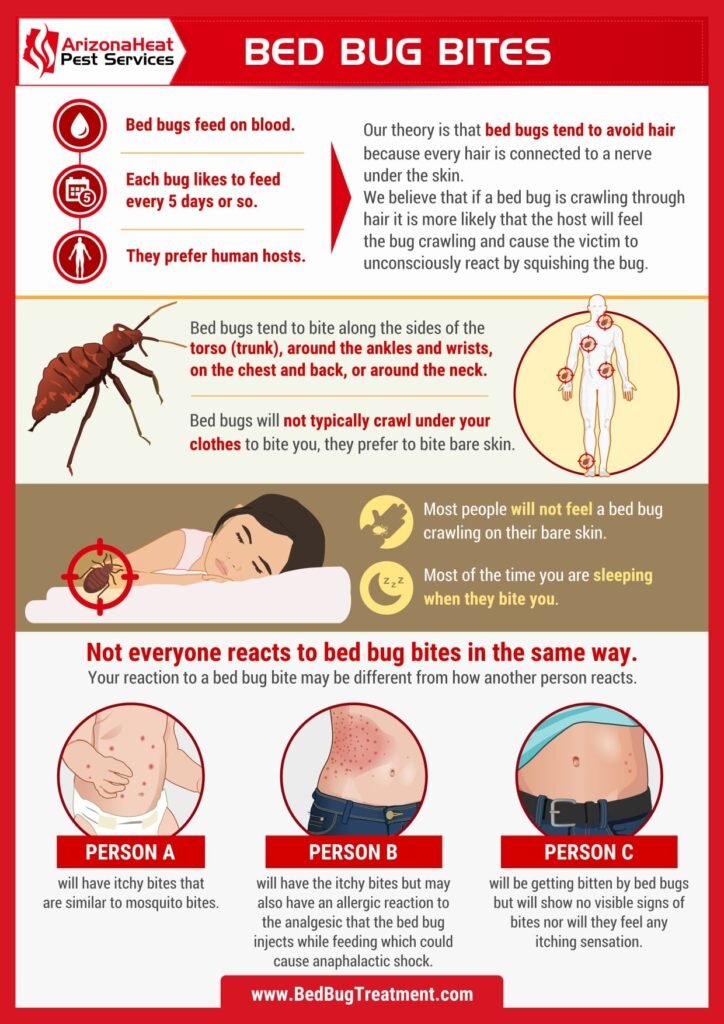 The Most Common Places Where Bed Bugs Bite